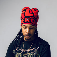 Load image into Gallery viewer, FLY Beanie